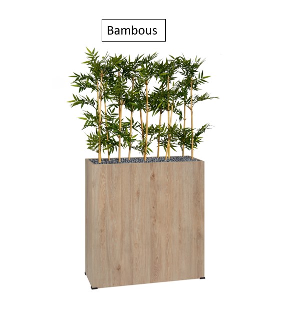 Bambous