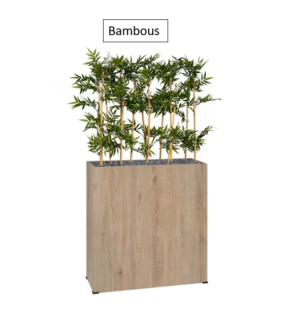 Bambous