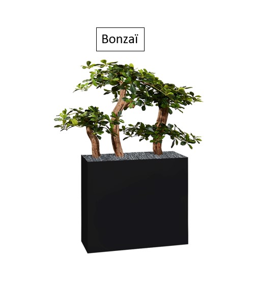 Bonzaï