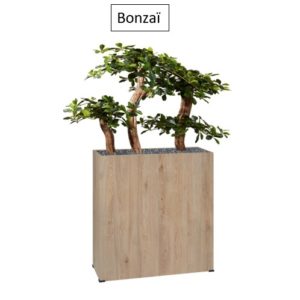 Bonzaï