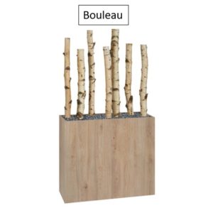 Bouleau