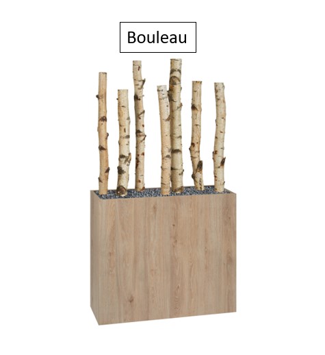 Bouleau