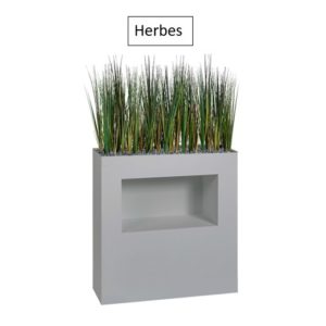 Herbes