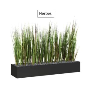 Herbes