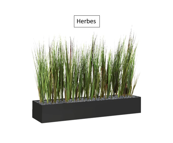 Herbes