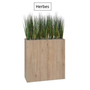 Herbes