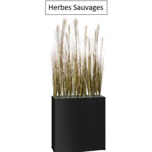 Herbes sauvages