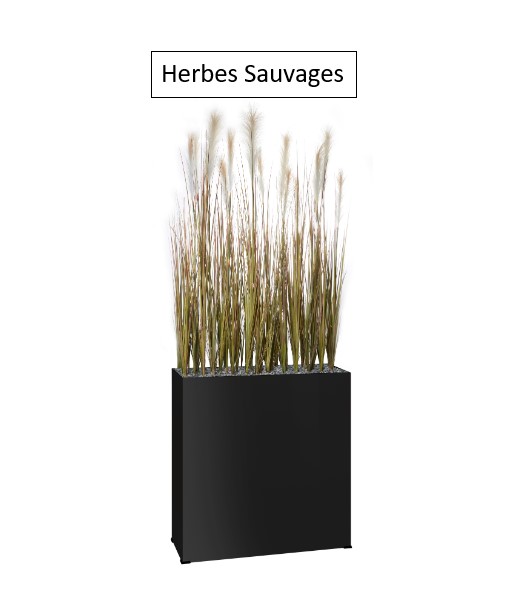 Herbes sauvages