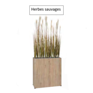 Photo herbes sauvages