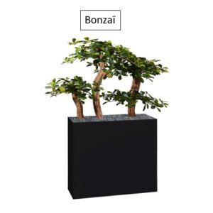 Bonzaï