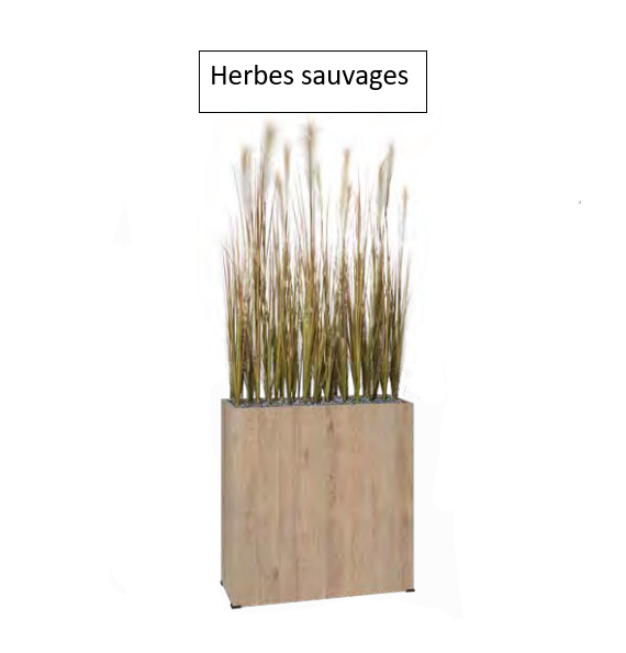 Photo herbes sauvages